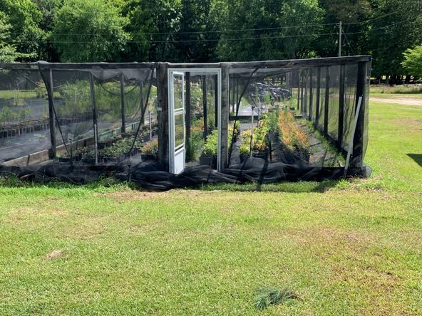 Treehouse Nursery: 3750 Thomas Sumter Hwy, Dalzell, SC 29040
